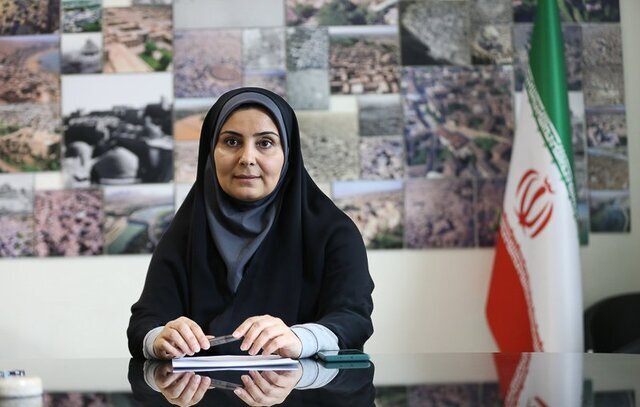 سازمان هواپیمایی نظارت بر ایرلاین‌ها را جدی دنبال می‌کند