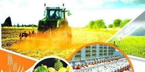 شرط رایگان شدن برق کشاورزان اعلام شد کشاورزی