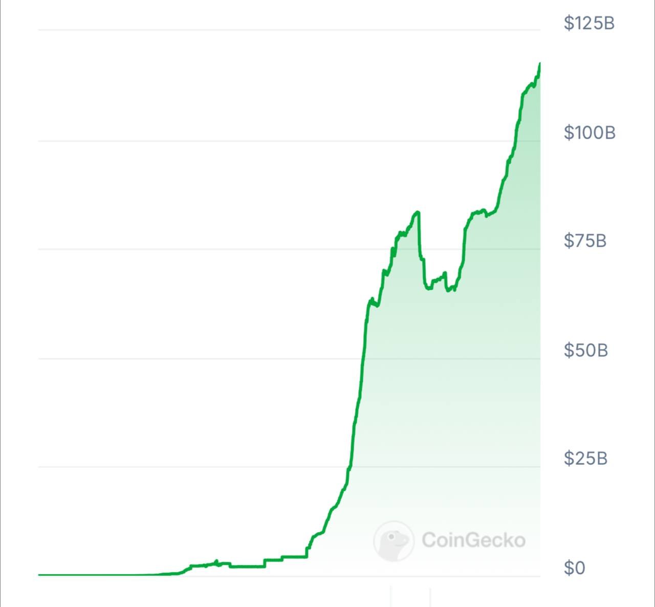 هجوم سرمایهگذاران به بازار رمزارزها در هفته مرگ همستر! / آیا پروژه همستر شکست خورد؟