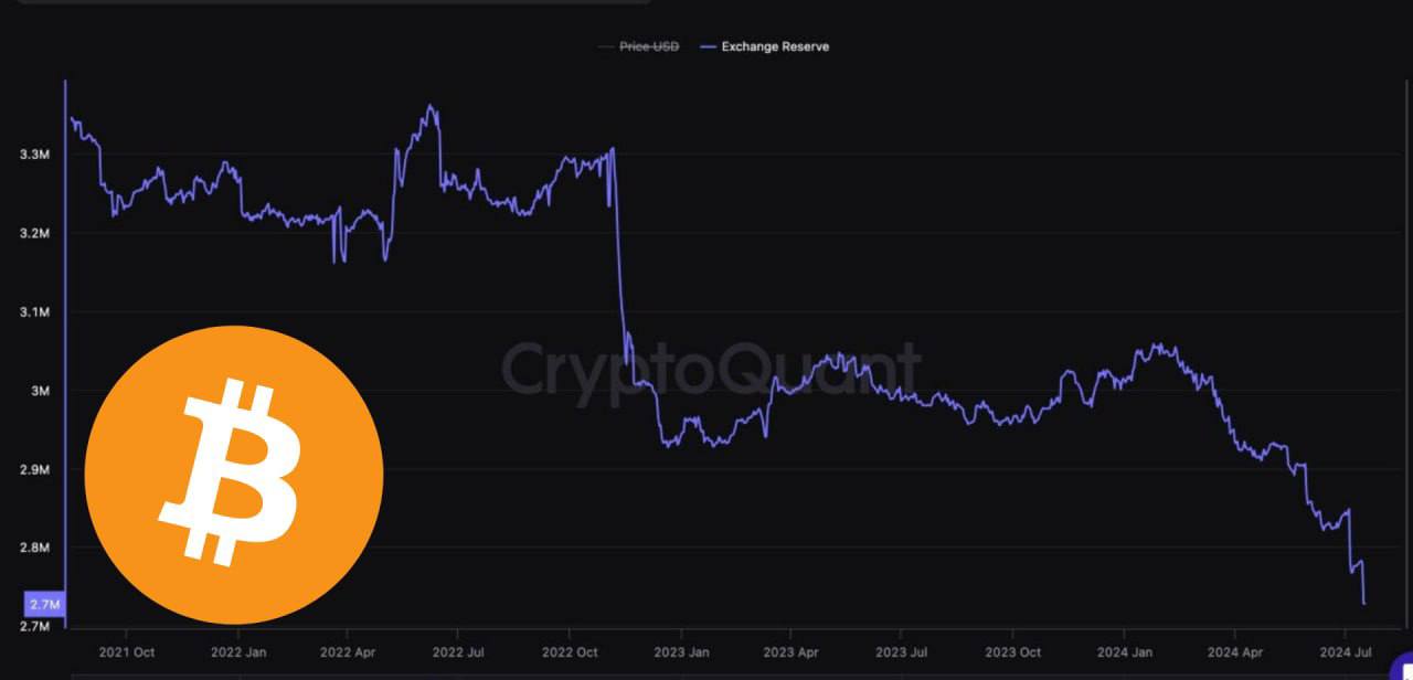 هجوم سرمایهگذاران به بازار رمزارزها در هفته مرگ همستر! / آیا پروژه همستر شکست خورد؟