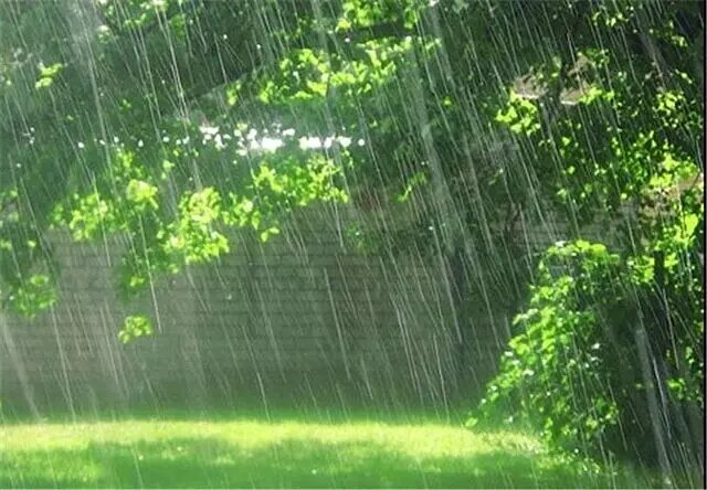 رگبار باران و رعد و برق در ۱۵ استان کشور