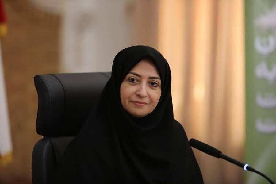  قانون خوب می‌نویسیم اما با تغییرات مدیریتی اجرای قوانین متوقف می‌شود