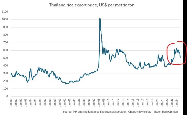 شدیدترین ریزش قیمت برنج در ۱۵ سال گذشته / آیا قیمت برنج در بازار داخلی ارزان میشود؟