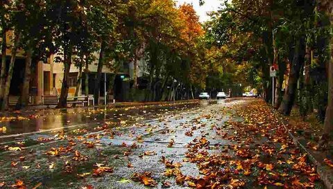 فعالیت سامانه بارشی از جمعه در اصفهان  باران