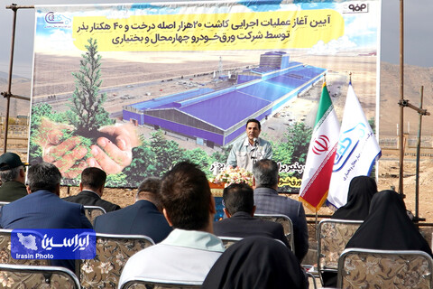 نگین فیروزهای ورق خودرو با حلقه سبز جنگلی احاطه میشود کاشت درخت ورق خودرو