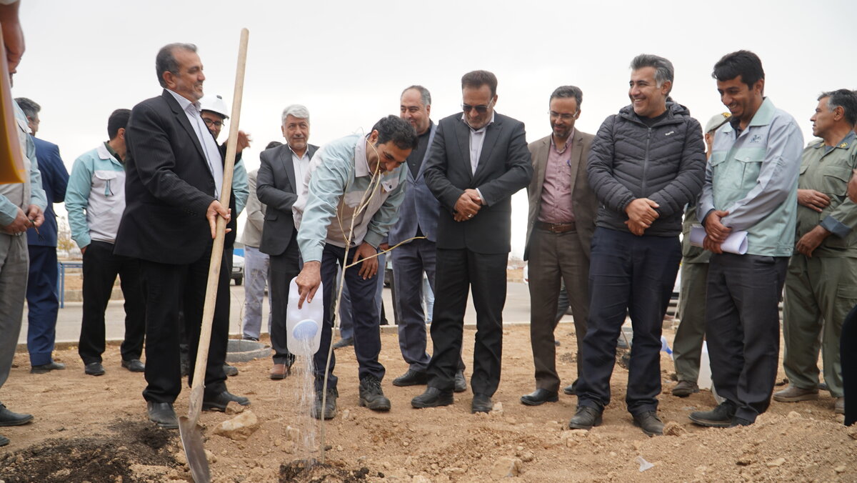 نگین فیروزهای ورق خودرو با حلقه سبز جنگلی احاطه میشود