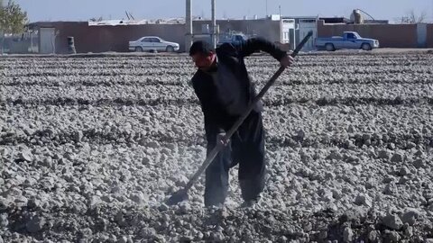 مسئولان در جبران تأثیرات کمبود بارندگی با کشاورزان همکاری کنند کشاورزی