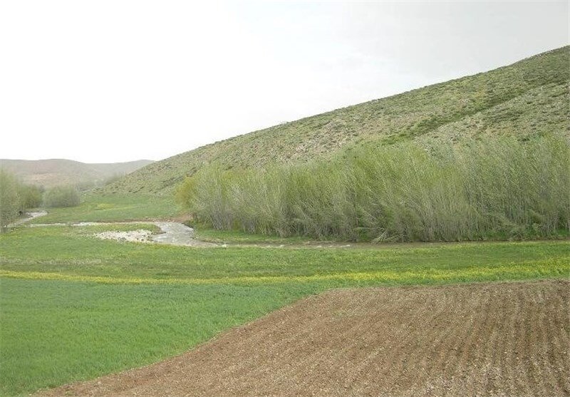 رفع تصرف ۱۵ هزار هکتار اراضی منابع طبیعی در کشور