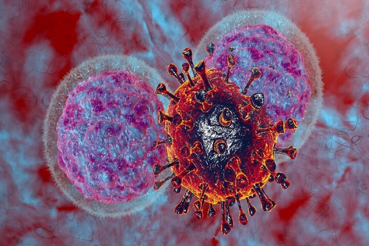 کشف ارتباط بین غذای سلول‌ها و توانایی مقابله با سرطان