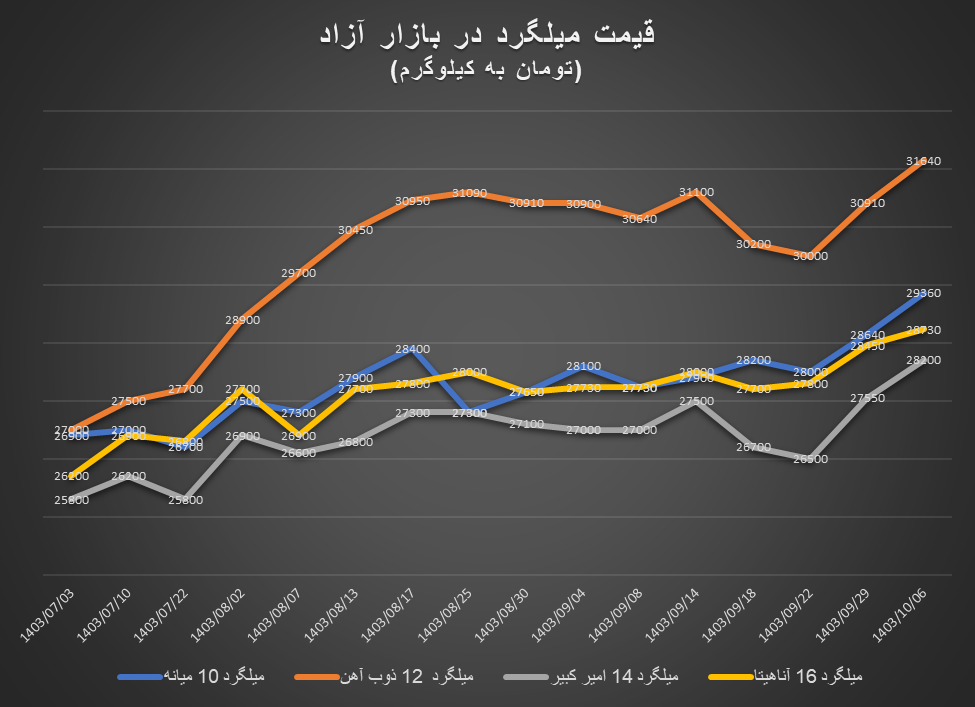 افزایش قیمت آهن‌آلات در دل زمستان