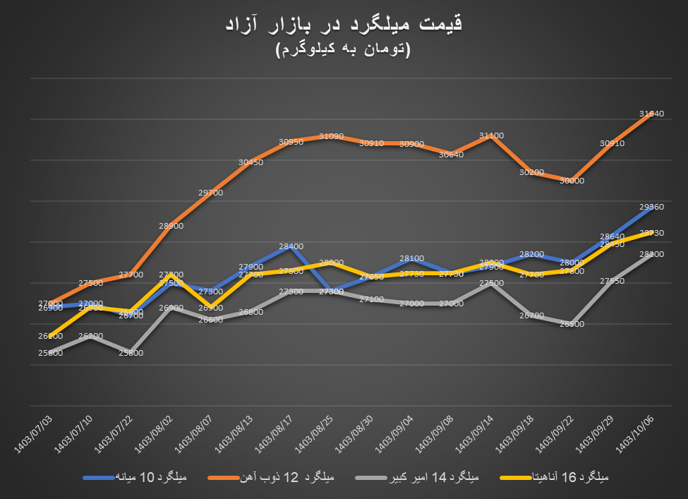 افزایش قیمت آهنآلات در دل زمستان