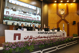 مجمع عمومی فوق العاده شرکت سرمایه گذاری توسعه و فلزات