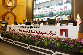 مجمع عمومی فوق العاده شرکت سرمایه گذاری توسعه و فلزات