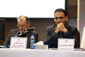 مجمع عمومی فوق العاده شرکت سرمایه گذاری توسعه و فلزات