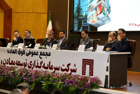 مجمع عمومی فوق العاده شرکت سرمایه گذاری توسعه و فلزات