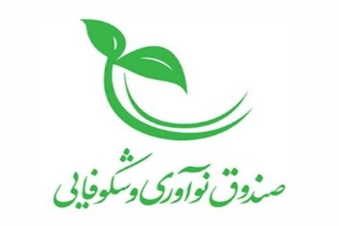 سرمایه صندوق نوآوری و شکوفایی به ۵۰ همت افزایش پیدا کرد صندوق نوآوری و شکوفایی