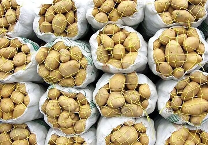 کاهش تدریجی قیمت سیب‌زمینی در بازار؛ ورود محموله‌های جدید از جنوب
