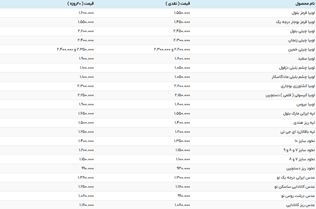 قیمت حبوبات هم دنبالهروی نرخ ارز شد / هر کیلو لوبیا چیتی ۲۸۰ هزار تومان!