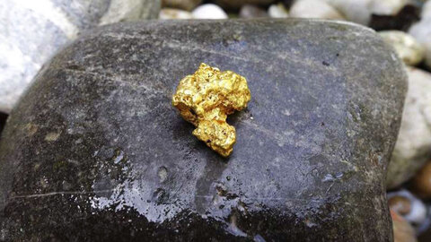 کمک نانو ذرات به کاهش آسیبهای ناشی از چاقی نانو