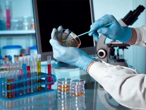 تشخیص ۱۵دقیقهای سرطان در اتاق عمل سرطان