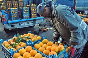 عرضه خرما و میوه شب عید بدون کمبود ادامه دارد