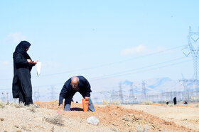 پویش مردمی کاشت ۲ هزار هکتار بذر بادام کوهی در شهرستان مبارکه با مشارکت فولاد مبارکه