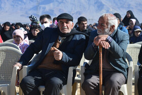 پویش مردمی کاشت ۲ هزار هکتار بذر بادام کوهی در شهرستان مبارکه با مشارکت فولاد مبارکه