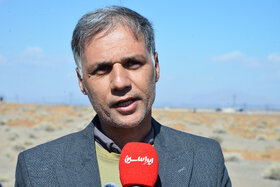 پویش مردمی کاشت ۲ هزار هکتار بذر بادام کوهی در شهرستان مبارکه با مشارکت فولاد مبارکه