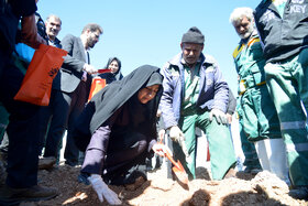 پویش مردمی کاشت ۲ هزار هکتار بذر بادام کوهی در شهرستان مبارکه با مشارکت فولاد مبارکه