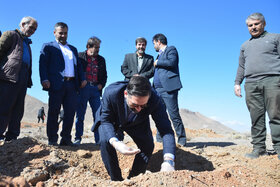 پویش مردمی کاشت ۲ هزار هکتار بذر بادام کوهی در شهرستان مبارکه با مشارکت فولاد مبارکه