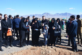 پویش مردمی کاشت ۲ هزار هکتار بذر بادام کوهی در شهرستان مبارکه با مشارکت فولاد مبارکه