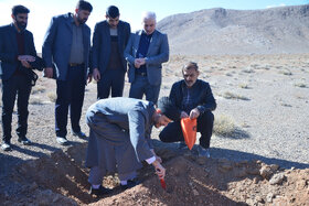 پویش مردمی کاشت ۲ هزار هکتار بذر بادام کوهی در شهرستان مبارکه با مشارکت فولاد مبارکه