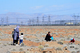 پویش مردمی کاشت ۲ هزار هکتار بذر بادام کوهی در شهرستان مبارکه با مشارکت فولاد مبارکه
