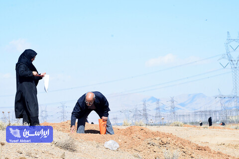 پویش مردمی کاشت ۲ هزار هکتار بذر بادام کوهی در شهرستان مبارکه با مشارکت فولاد مبارکه