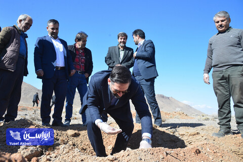 پویش مردمی کاشت ۲ هزار هکتار بذر بادام کوهی در شهرستان مبارکه با مشارکت فولاد مبارکه