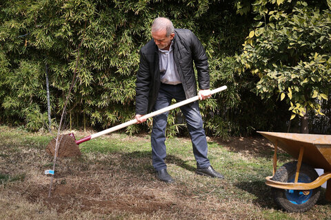 مردم با درختکاری به بهبود محیط زیست کمک کنند پزشکیان
