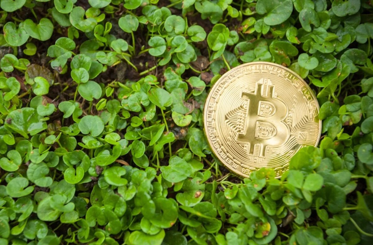 بازار رمزارزها در نخستین روزهای بهار سبز شد