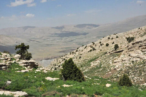 طبیعتگردی بیضابطه؛ تهدید جدی برای گیاهان بومی اصفهان طبیعت گردی