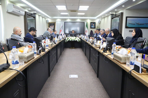 طراحی مدل اجرایی جدید برای تأمین مالی طرحهای توسعهای صنعت مس محمد آقاجانلو