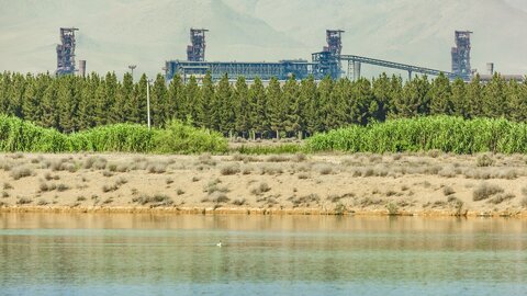 خردسبز؛ راهبرد جدید فولاد مبارکه
