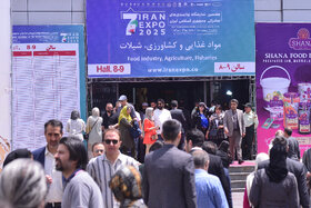 حضور شرکت‌های صادراتی ایران در حوزه مواد غذایی و کشاورزی،شیلات در نمایشگاه ایران اکسپو ۲۰۲۵