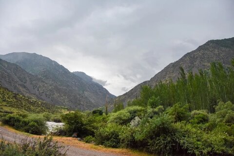 اکوسیستم