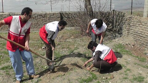 کاشت ۷ میلیون و ۹۰۰ هزار اصله نهال توسط جوانان هلالاحمر کاشت درخت