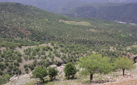 طبیعت ایران