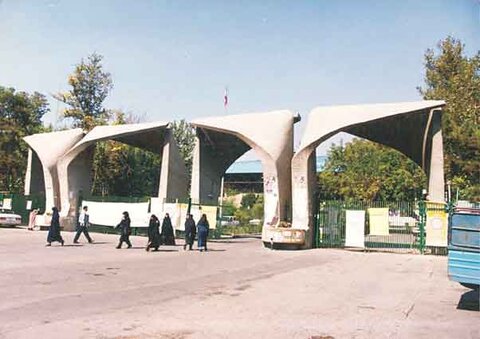 دانشگاه