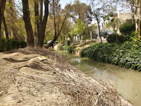 تهدید فضای سبز اصفهان با تشدید بحران خشکسالی فضای سبز اصفهان