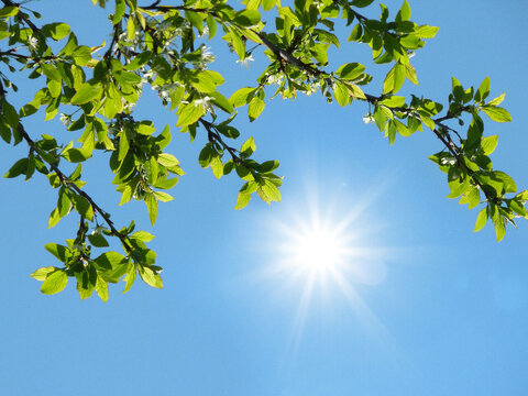 افزایش نسبی دما در اغلب مناطق کشور هوا