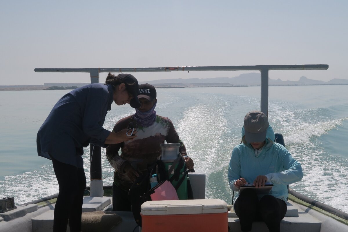 ۳ طرح برگزیده حمایت مالی «هما» معرفی شد