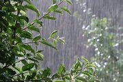 رگبار و رعد و برق پراکنده در ارتفاعات شمال شرق کشور