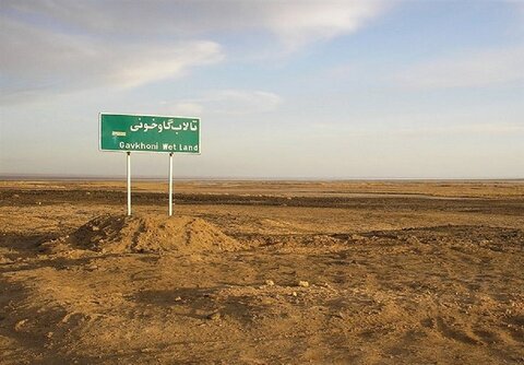 حقابه تالاب گاوخونی